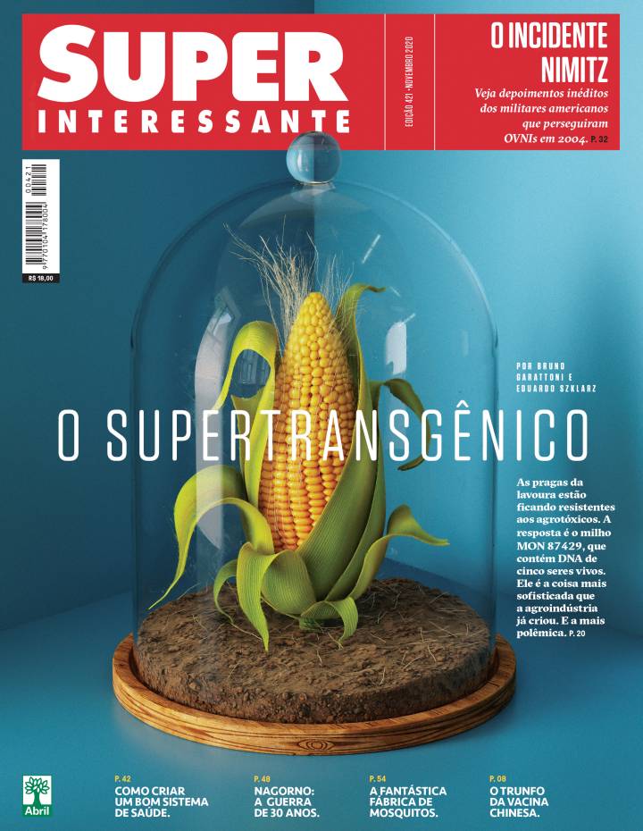 Superinteressante nº 421 - novembro de 2020 - capa